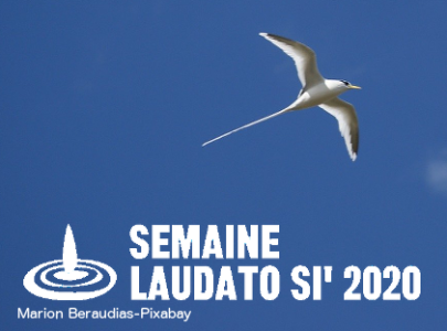 logo article ou rubrique